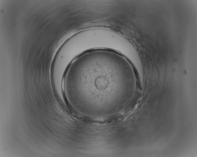 X0000072550148200607211408