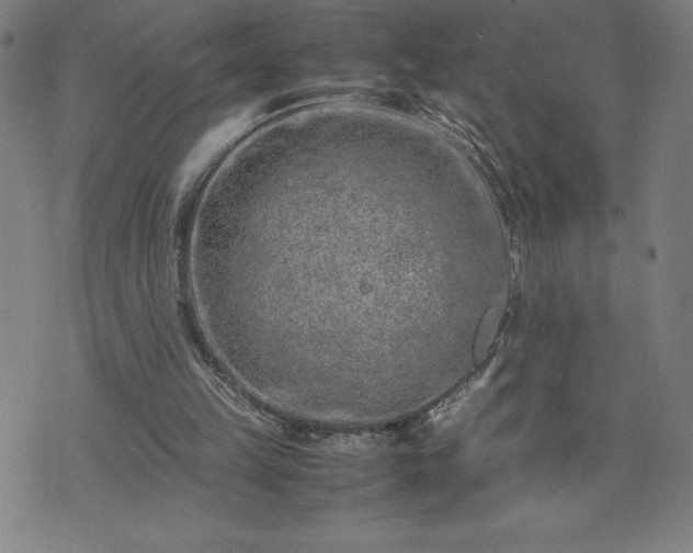 X0000072550149200607211408