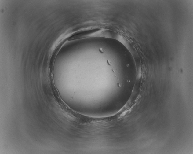 X0000072550150200607211408