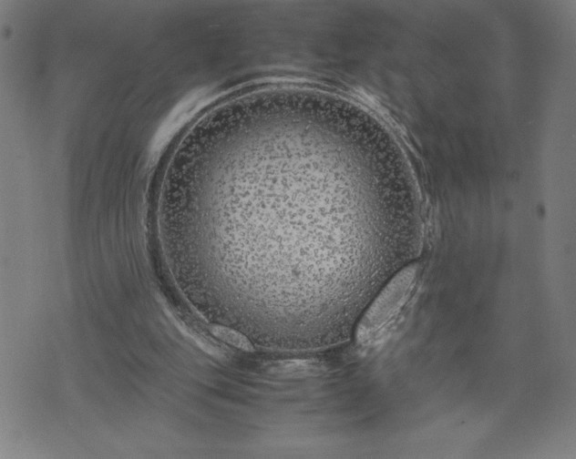 X0000072550151200607211408