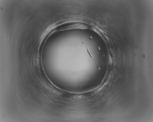 X0000072550152200607211408