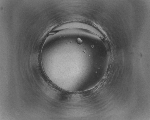 X0000072550154200607211408