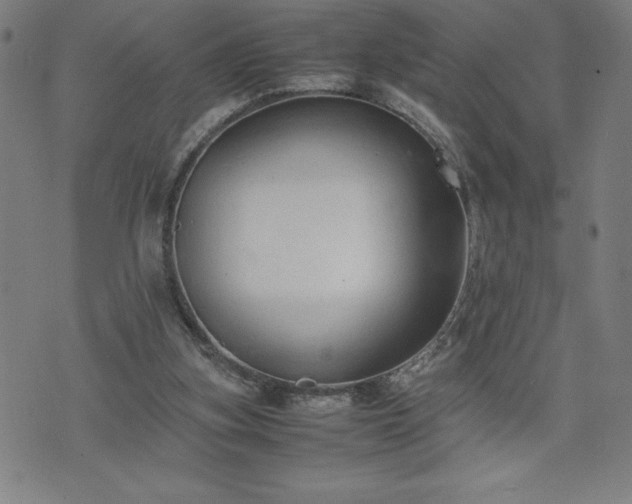 X0000072550155200607211408