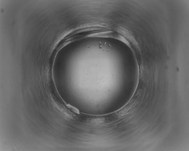 X0000072550156200607211408