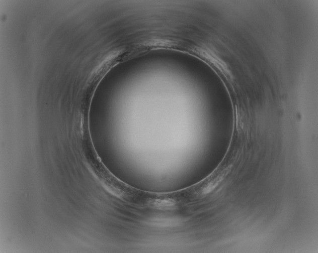 X0000072550157200607211408