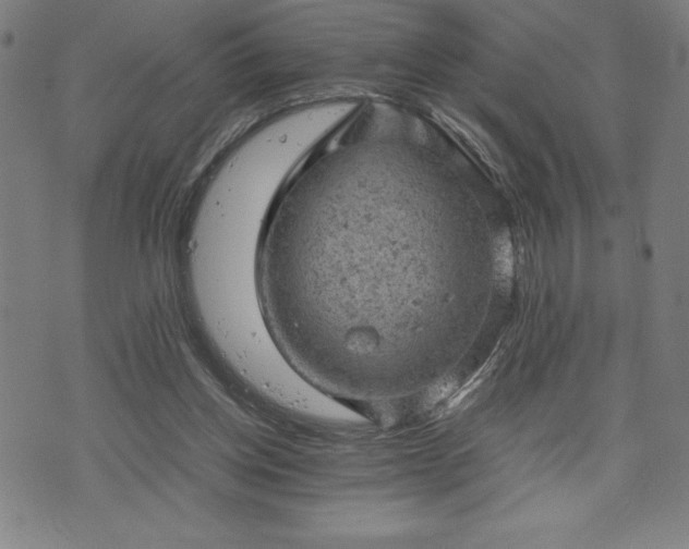 X0000072550158200607211408