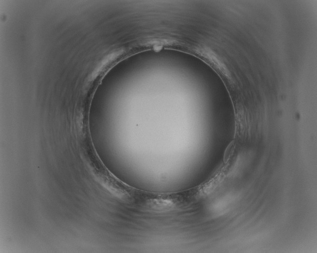 X0000072550159200607211408