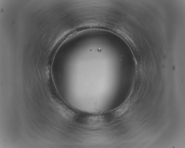 X0000072550160200607211408