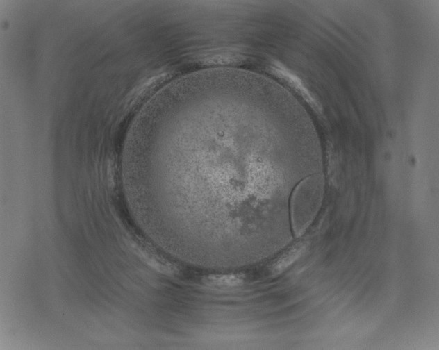 X0000072550161200607211408