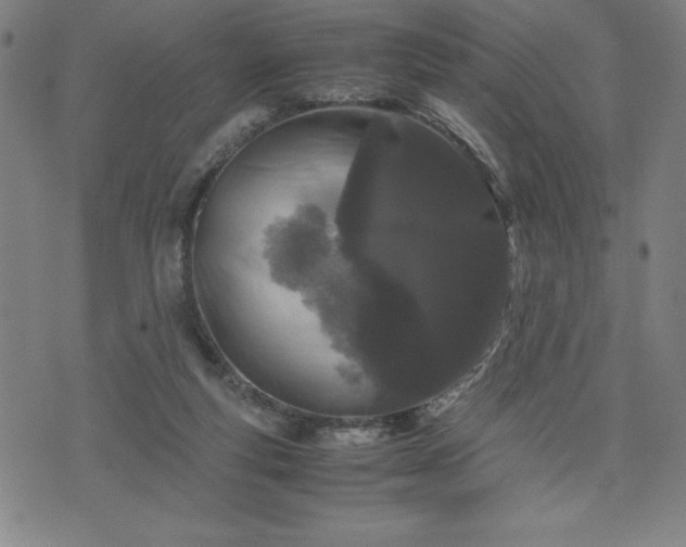 X0000072550163200607211408