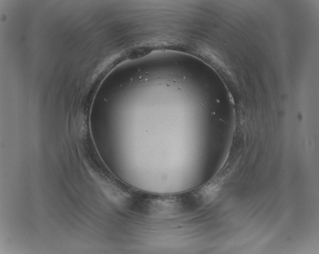 X0000072550164200607211408