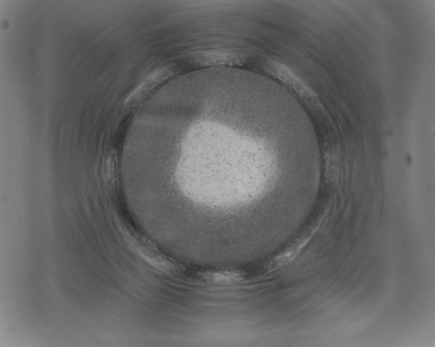 X0000072550165200607211408