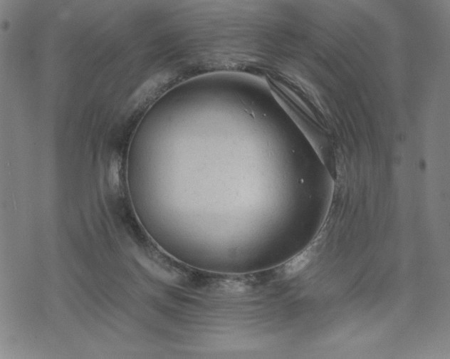 X0000072550166200607211408