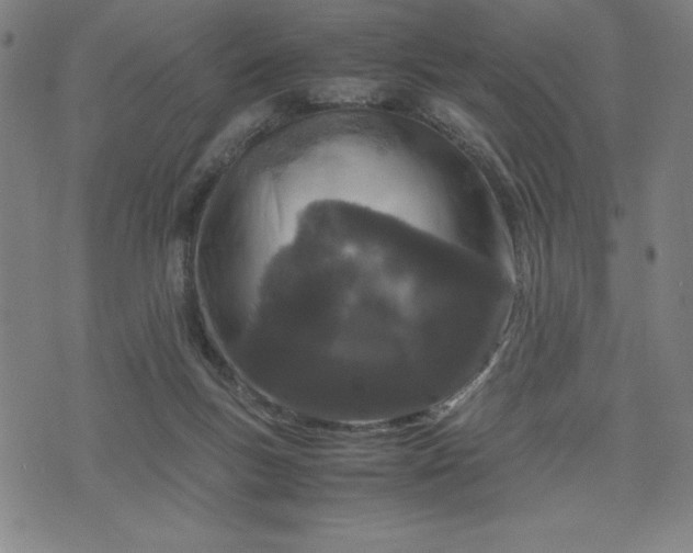 X0000072550167200607211408