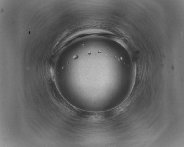 X0000072550168200607211408