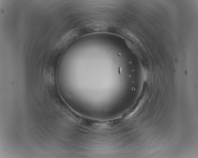 X0000072550170200607211408