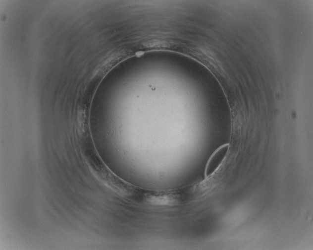 X0000072550171200607211408