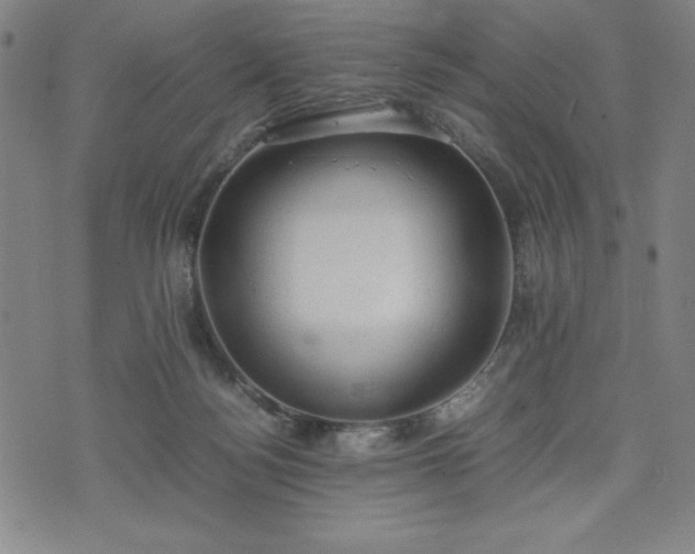 X0000072550172200607211408