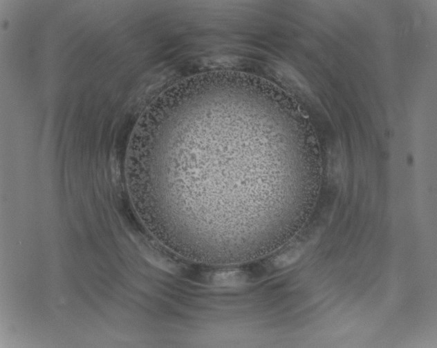 X0000072550173200607211408