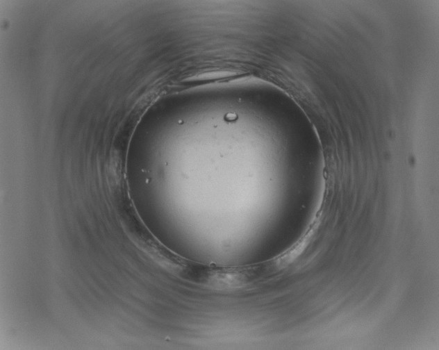 X0000072550174200607211408