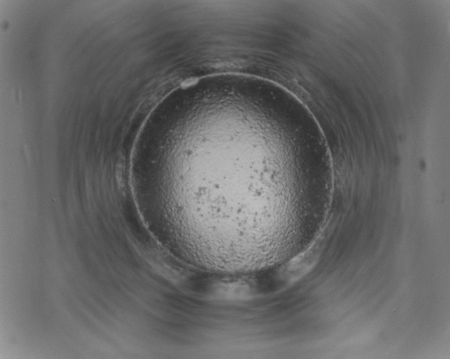 X0000072550175200607211408