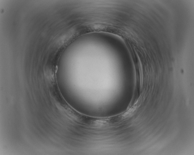 X0000072550176200607211408