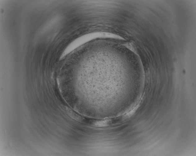 X0000072550178200607211408