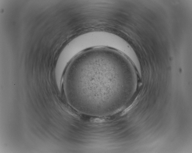 X0000072550180200607211408