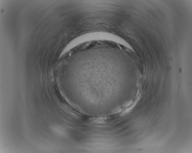 X0000072550182200607211408