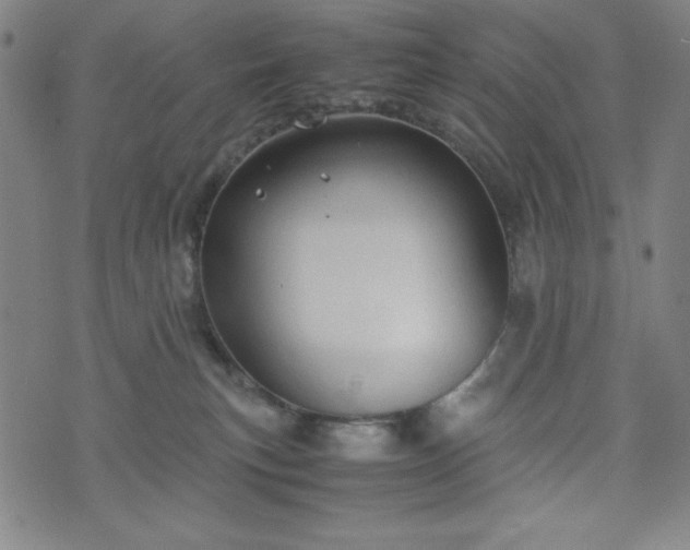 X0000072550183200607211408