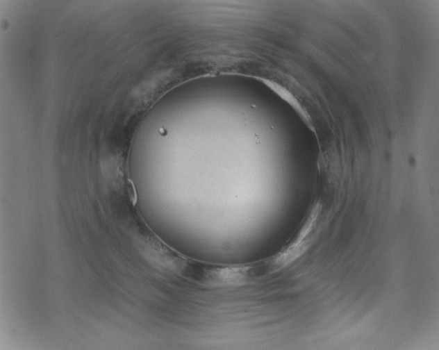 X0000072550184200607211408