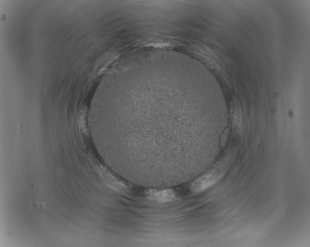 X0000072550185200607211408