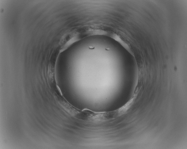 X0000072550186200607211408