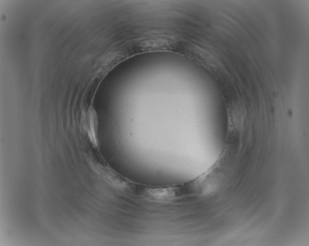 X0000072550187200607211408