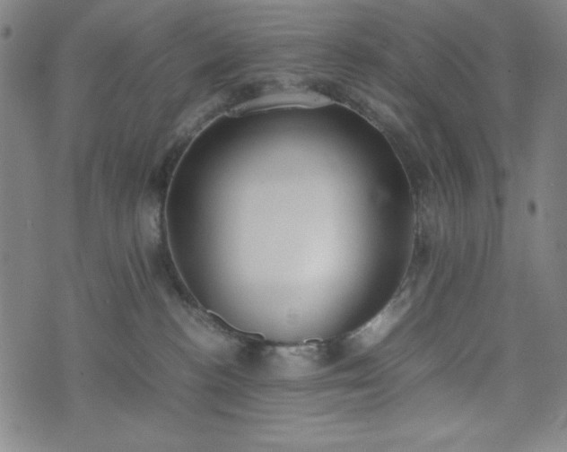 X0000072550188200607211408