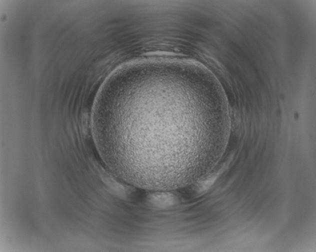 X0000072550189200607211408