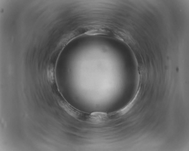 X0000072550190200607211408