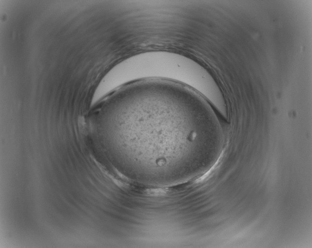 X0000072550192200607211408