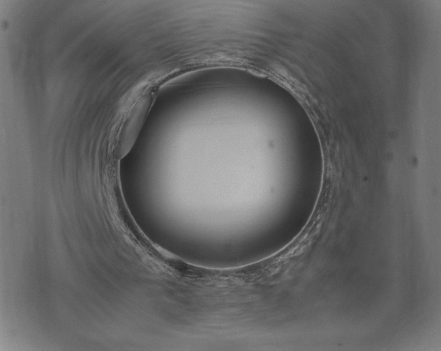 X0000072550193200607211408