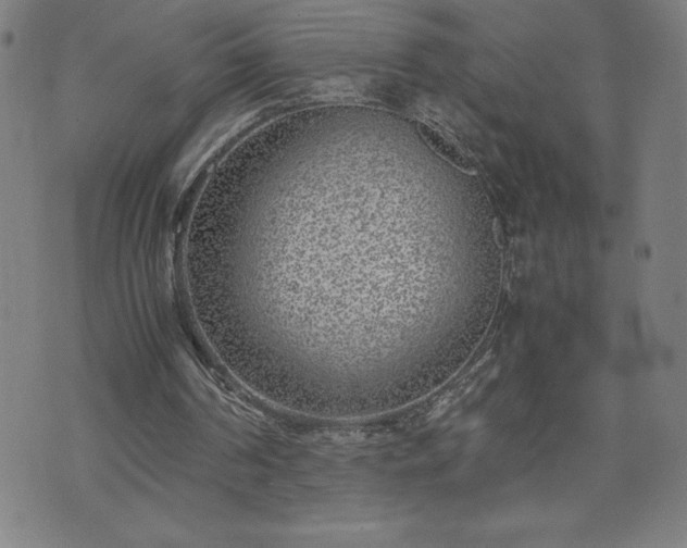 X0000072550194200607211407