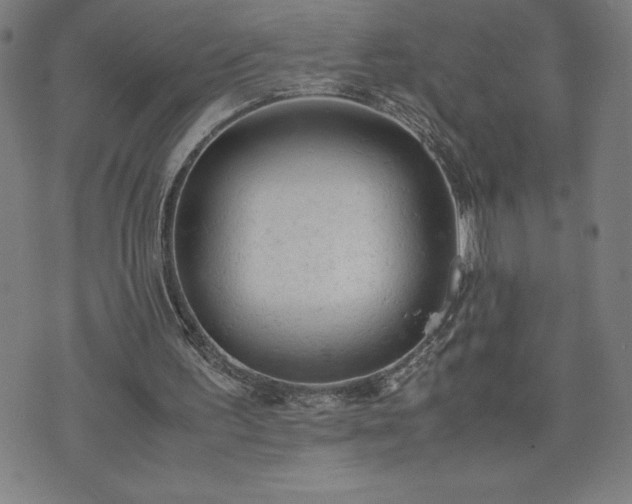 X0000072550195200607211407