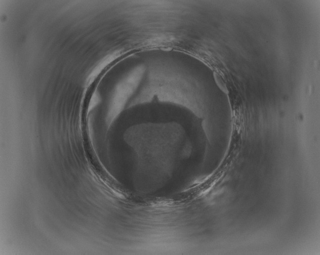 X0000072550196200607211407