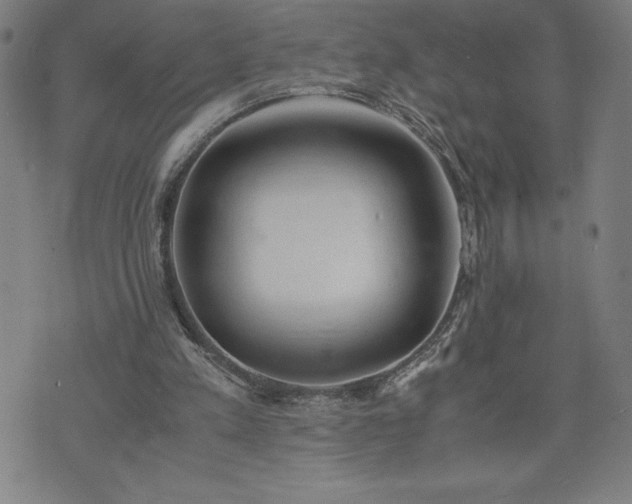 X0000072550197200607211407