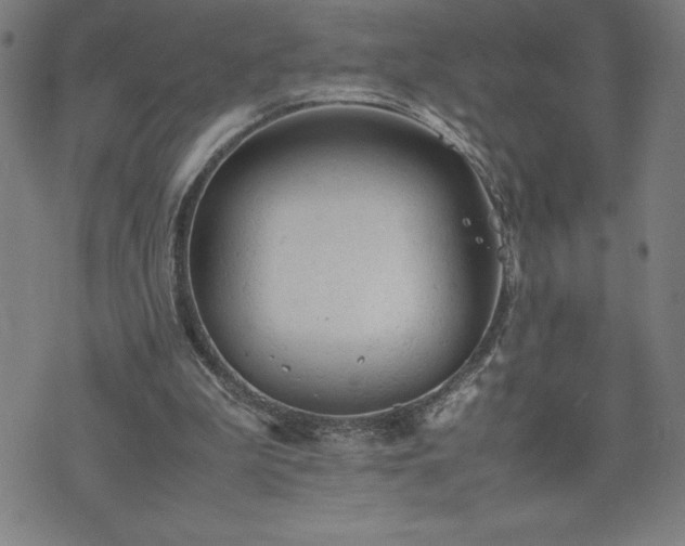 X0000072550199200607211407