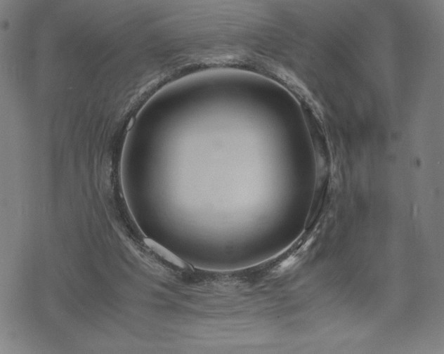 X0000072550201200607211407