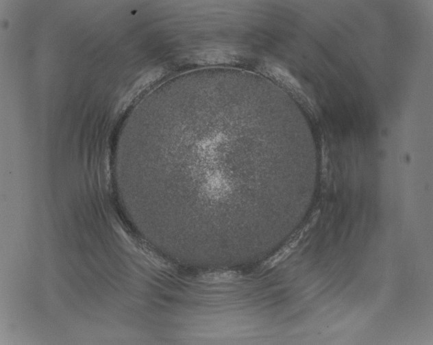 X0000072550202200607211407