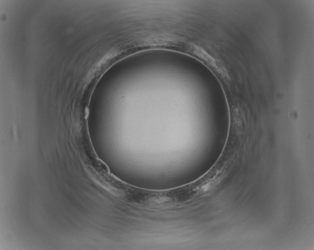 X0000072550203200607211407