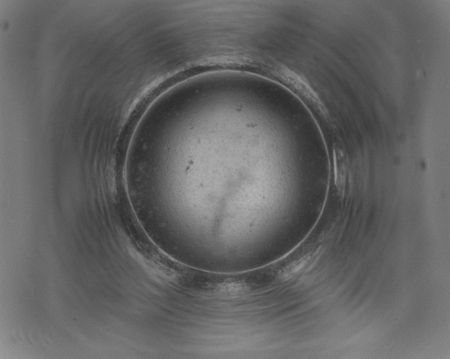 X0000072550204200607211407