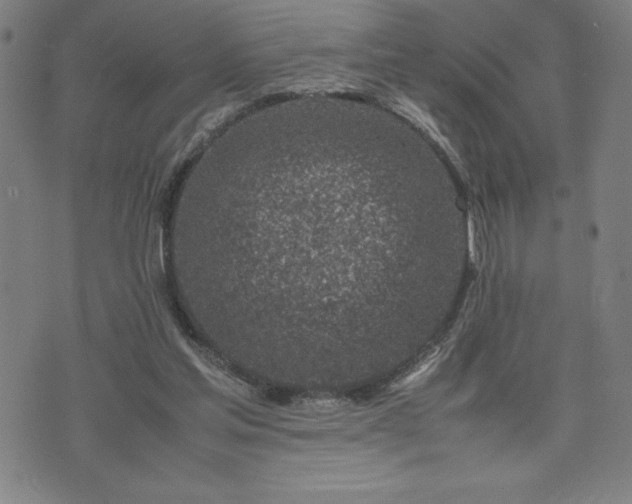 X0000072550205200607211407