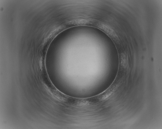 X0000072550206200607211407